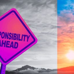 Koliko je sistem odgovornosti pao na slučaju Tomić