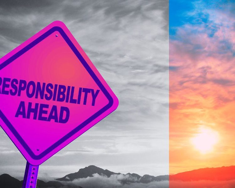 Koliko je sistem odgovornosti pao na slučaju Tomić